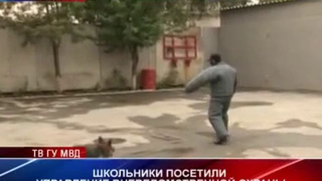 Сотрудники УВО пригласили на экскурсию школьников смотреть онлайн