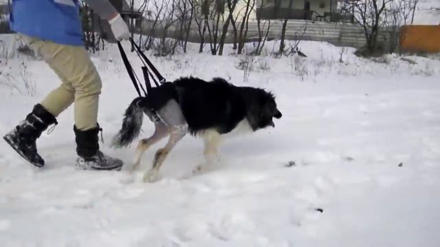 Люся. смотреть онлайн