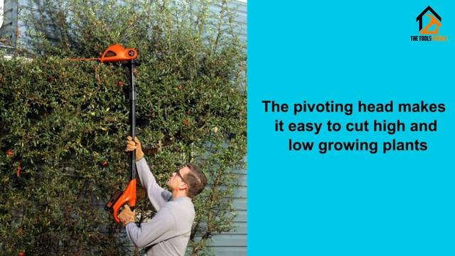 Best Telescopic Hedge Trimmers 2021 [Top 5 Picks]