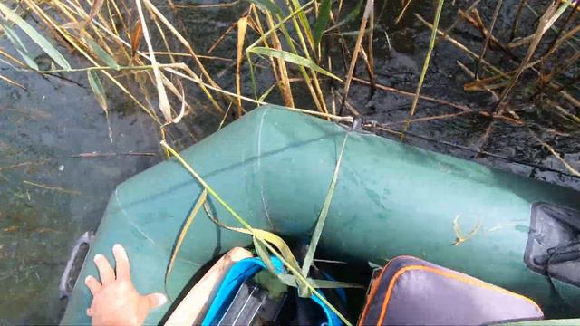 Карпик в последний день лета . смотреть онлайн