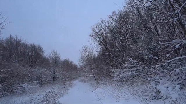 ОХОТА НА ЗАЙЦА , как тропить зайца