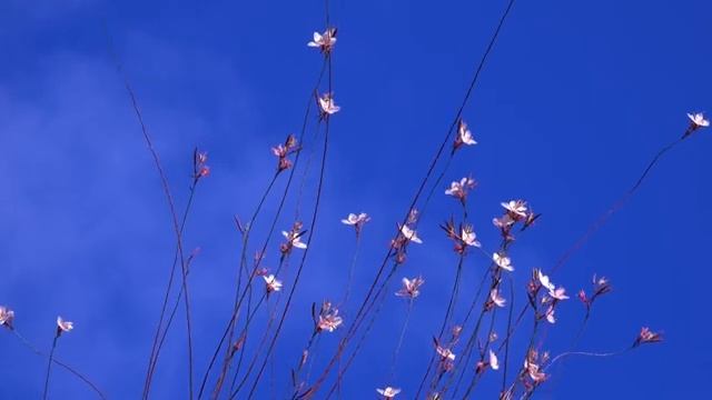 90s 2000s HIPHOP MIX ?? Ice Cube, Snoop Dogg, 2Pac, DMX, Method Man,... ?? Classic Hip Hop Mix смотреть онлайн