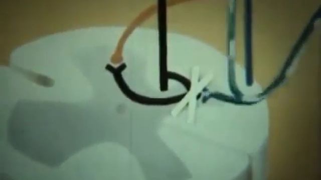 Фрагмент 2 Проводящие пути спинного и головного мозга смотреть онлайн