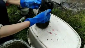 Садовые поделки из цемента своими руками.  #садовыегномы