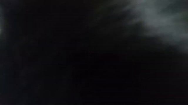 приколы про кошку!!! смотреть онлайн