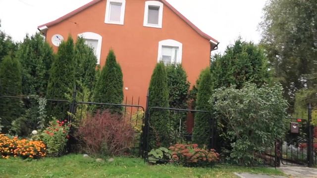 Как нас напоили на острове, Лондон в Калининграде и Верхнее озеро смотреть онлайн