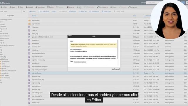 Cómo modificar el límite de memoria de WordPress? смотреть онлайн