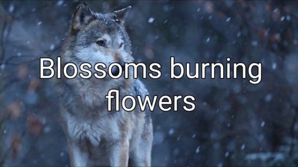 Green Apelsin | North Wind (ENGLISH SUB) | Северный ветер