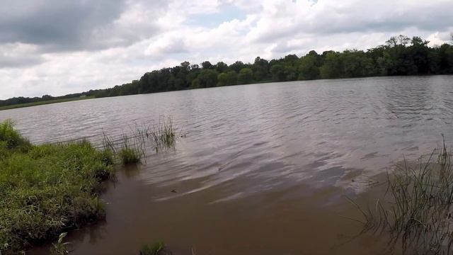 Unexpected Reservoir Fish - Caught using Berkley Gulp! Minnow смотреть онлайн