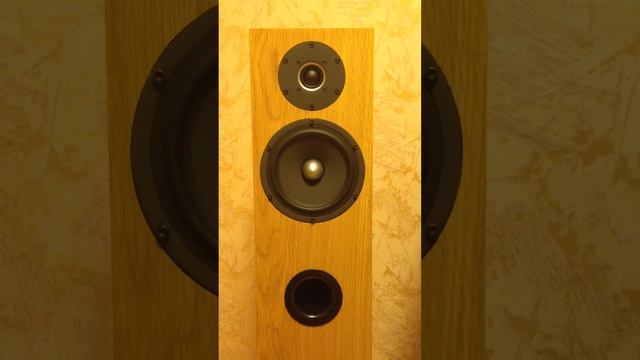 DIY Speakers CNO mk2 (Paul Stephenson - Moon In The Glass) смотреть онлайн