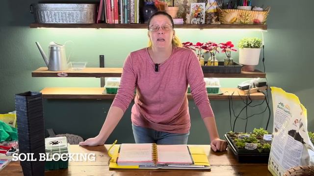 SEED Starting Supplies That Are Budget Friendly 🌱 || Potting Up Petunias || Basics in Seed Starting смотреть онлайн