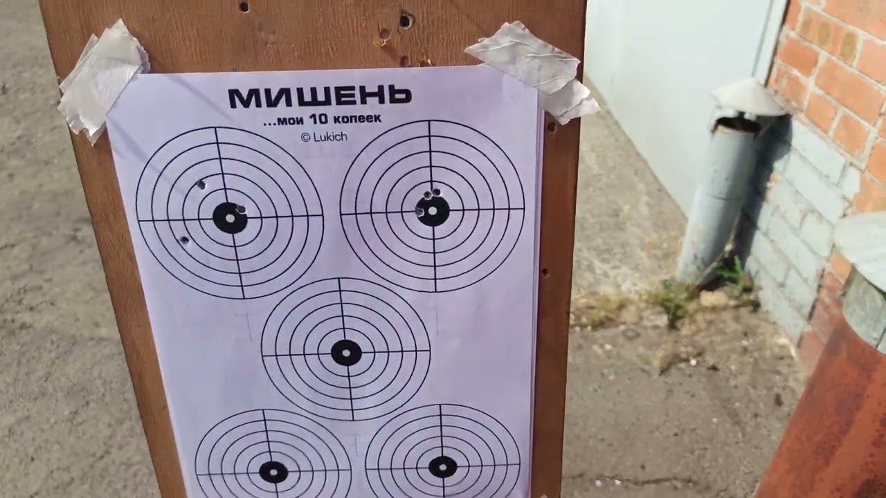 МР 53 стрельба из мини-карабина смотреть онлайн