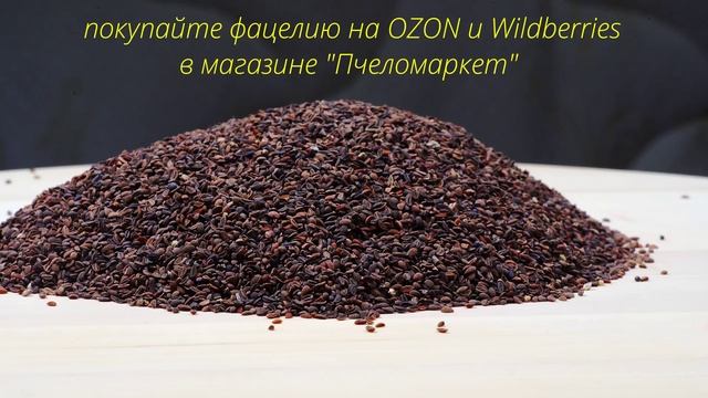 фацелия пижмолистая рязанская, медонос, сидерат, биогумус смотреть онлайн
