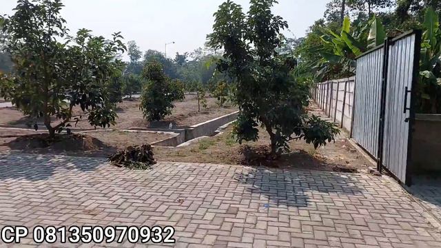 TERBUKTI..!!RUMUS PEMUPUKAN INI PERCEPAT ALPUKAT TUMBUH CEPAT смотреть онлайн