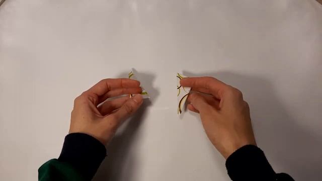 Шкатулка из бобин от скотча. Шкатулка своими руками/DIY box. смотреть онлайн