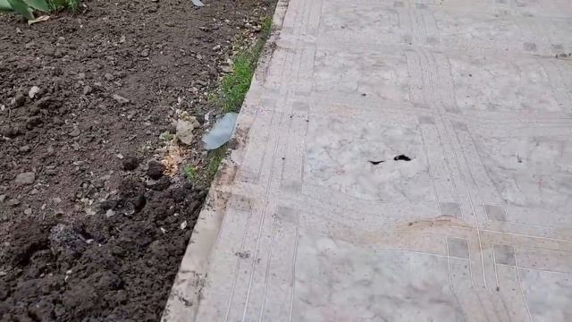 Купили маме дом \ Копаем новый септик \ Помогаем маме по дому смотреть онлайн