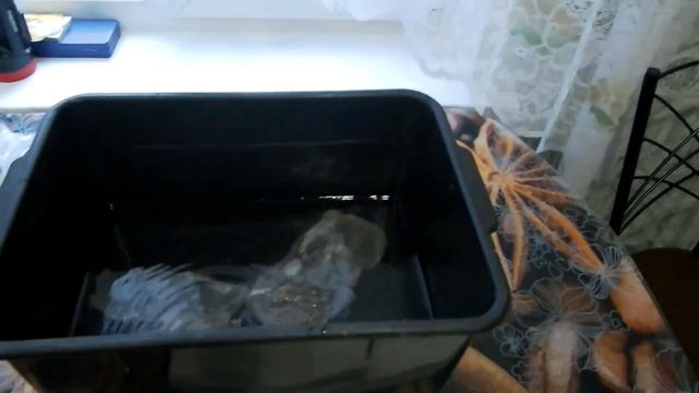 Как сделать сыровял в домашних условиях