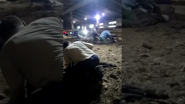 Стрижка смотреть онлайн