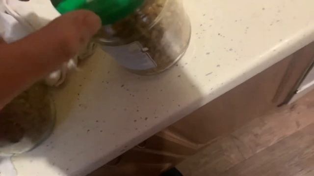 От Торча до Миколога :Как вырастить грибы ? (ч.3 БАНКИ и СТЕРИЛИЗАЦИЯ) смотреть онлайн