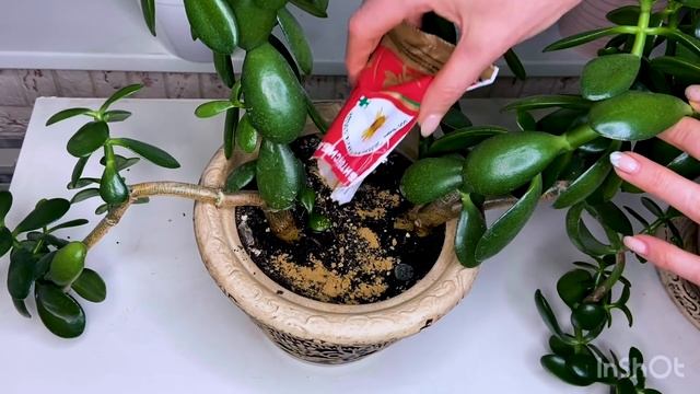 Ремонтный Мастер