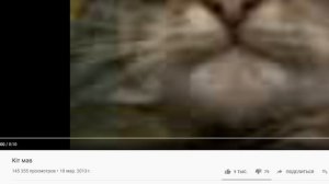 КИТ ТЫ МАМУ МАВ? — ПЕРЕВОД, ПРОИСХОЖДЕНИЕ МЕМА