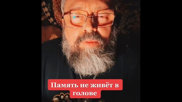 Память не живёт в голове! смотреть онлайн