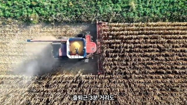 캐나다 시골에서 부부가 한 달에 얼마나 사용할까요? смотреть онлайн