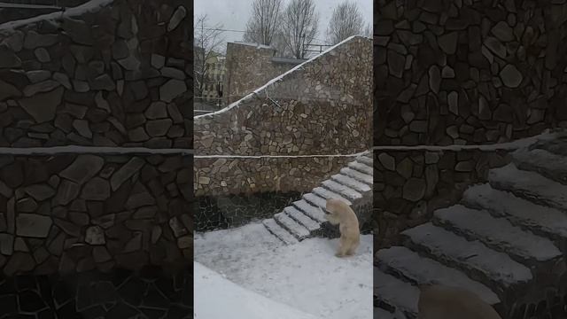 Игра с мячом смотреть онлайн
