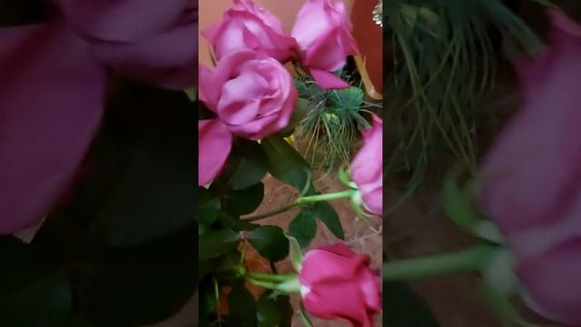 Когда покупаешь своей девушке розы, будь внимательнее, глазки открой !!!!! смотреть онлайн