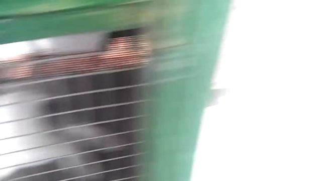 Трогать или нет деток кроликов... смотреть онлайн