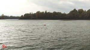 Карповый кораблик в оранжевом цвете и красном