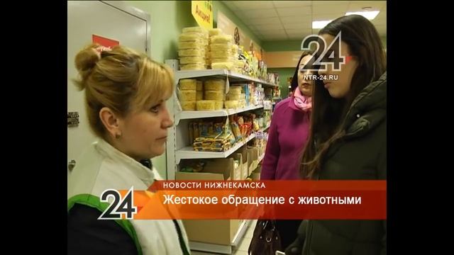 В Нижнекамске продавец магазина схватила за хвост кошку, раскрутила и выбросила на дорогу смотреть онлайн