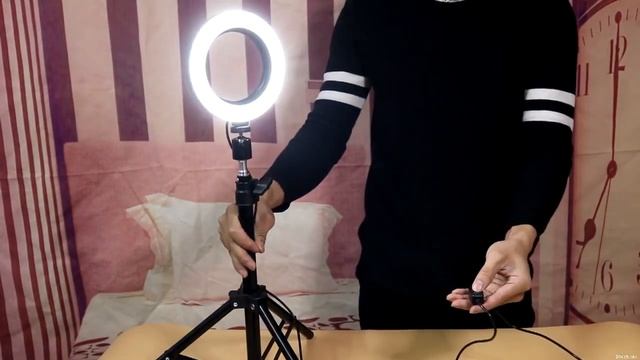 Светодиодный осветитель со штативом и держателем телефона купить на Алиэкспресс
