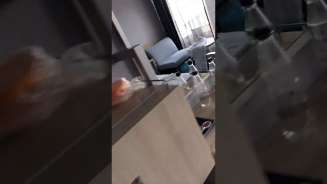 Зимний отдых в интуристе🌸 Зоопарк/мама занимается 👍 смотреть онлайн
