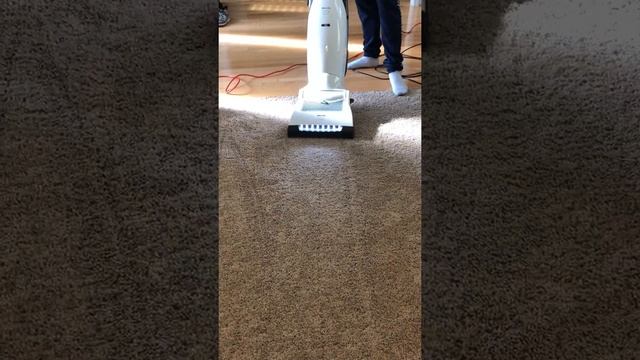 Sanitaire tradition 12 inch upright vs the Miele u1 cat and dog vacuum test смотреть онлайн