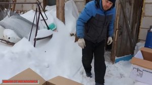 КУРЫ АВСТРАЛОРП ЧЁРНЫЙ. Поездка и приобретение.