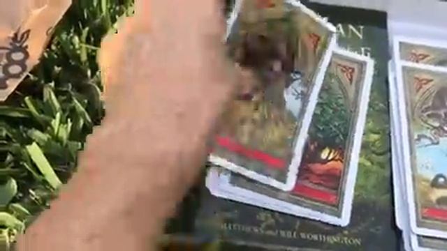 Green Man Tree Oracle Unboxing and my first look-not a walk thru смотреть онлайн