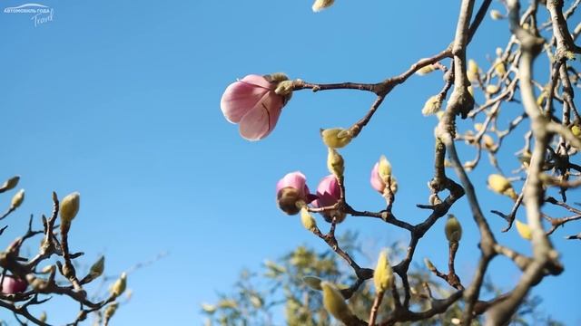 Что делать на юге в конце зимы, когда море еще холодное? смотреть онлайн