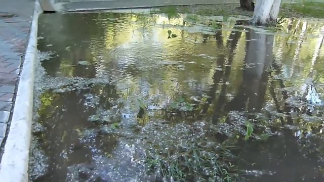 Потоп на улице Одесская, 61, Тюмень смотреть онлайн