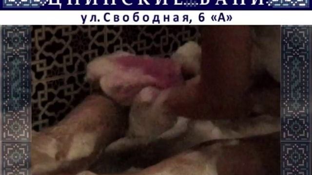 Цнинские Бани г. Моршанск, ул. Свободная, 6А смотреть онлайн