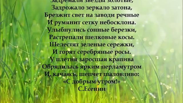Поэтическая композиция о природе "В ней есть поэзия и язык" смотреть онлайн