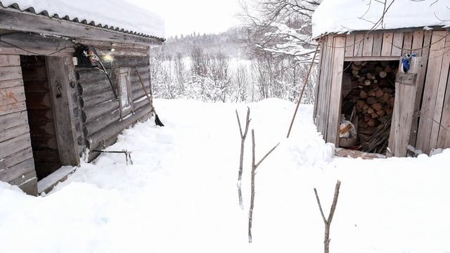 Подготовка бани холодной и снежной зимой в деревне. смотреть онлайн