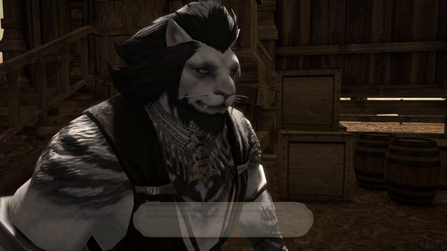 Final Fantasy 14 - That None Shall Ever Again | Shadowbringers Main Scenario Quest | 4K60FPS смотреть онлайн