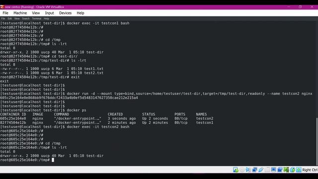Sharing data with standalone docker containers from host and to persist data in a container смотреть онлайн