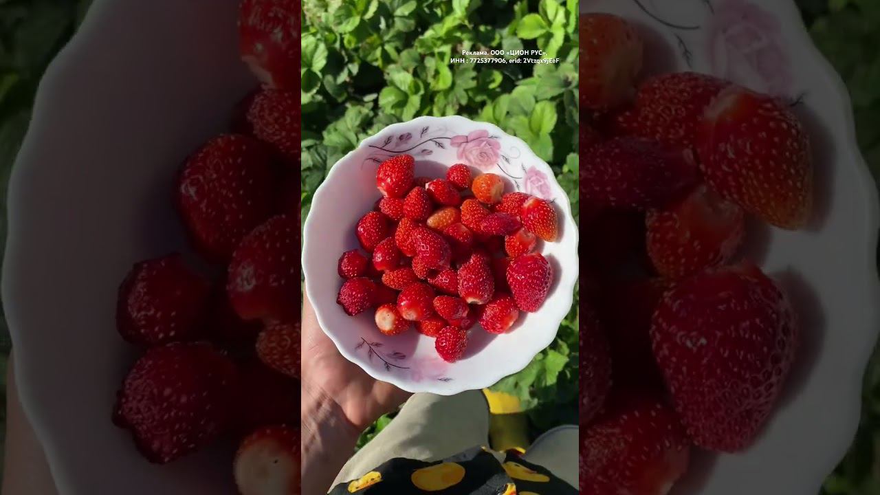 Цион ПРОТЕКТ артикул на Вб для овощей : 195830533, для цветов: 195831381, для клубники: 195826843