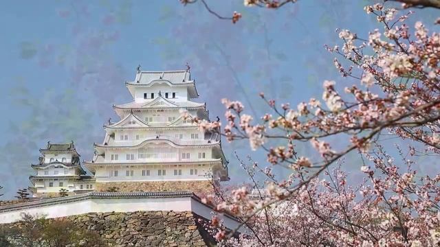 Deep Focus Music To Improve Concentration - 12 Hours of Ambient Study Music to Concentrate #7 смотреть онлайн