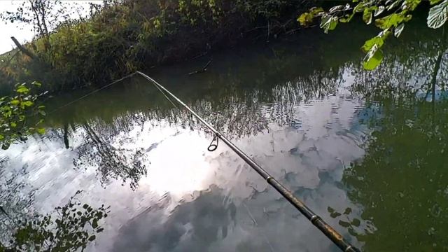 Ловля щуки в зарослях микро речки !!! Спиннинг в октябре !!! смотреть онлайн