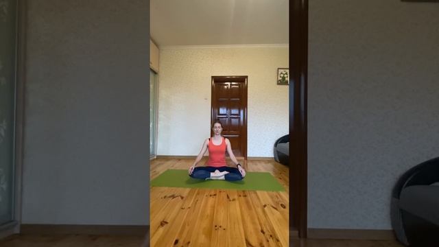 Сиддхасана смотреть онлайн