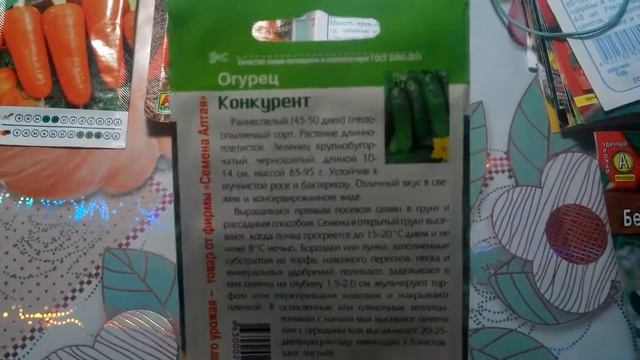 Огурцы! Что будет произрастать у меня на огородике и в теплице в 2019 году! Часть 3. смотреть онлайн