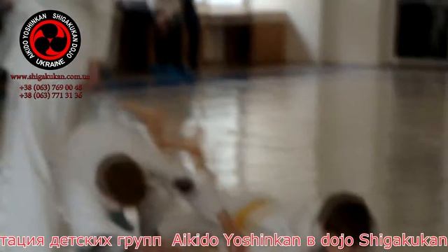 Семинар и детская аттестация Aikido Yoshinkan в dojo Shigakukan 29 января 2017 год видео 6 смотреть онлайн